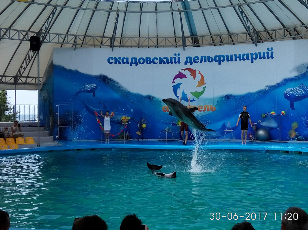 Dolphinarium Akvarel-Skadovsk必去景点