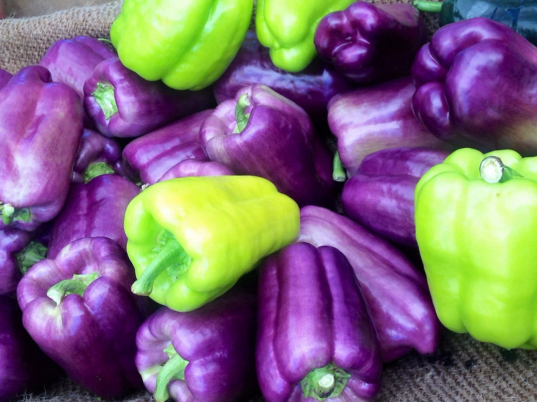 Salt Spring Tuesday Farmer's Market景点图片