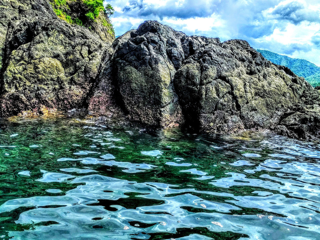 Playa Matapalo旅游攻略图片