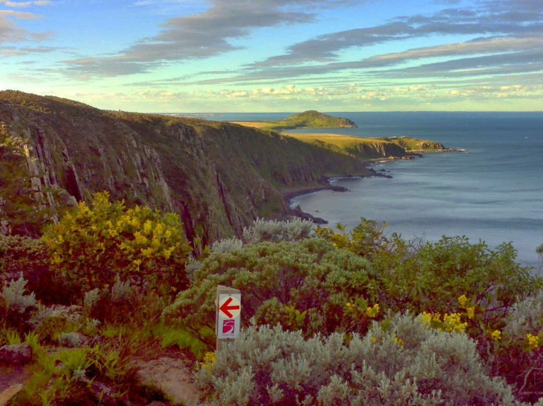 Walks With Nature-维克多港必去景点