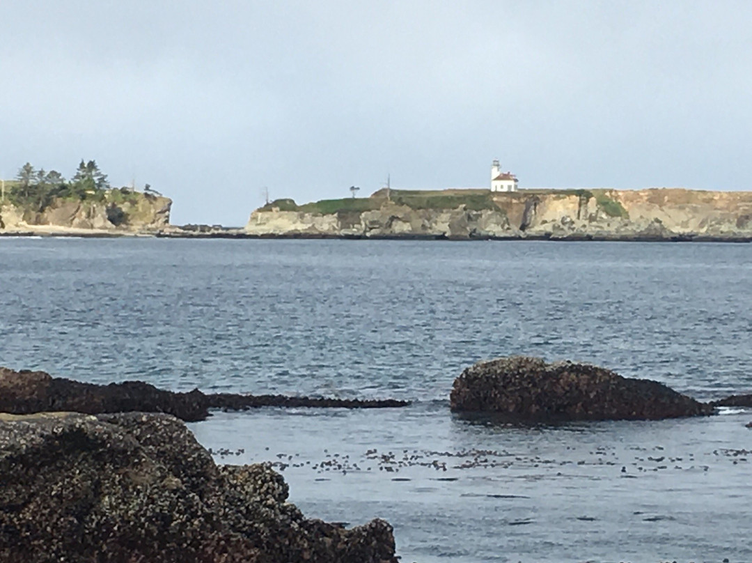 Bastendorff Beach-Charleston必去景点