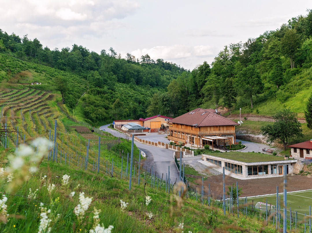 Vedro Polje旅游攻略图片