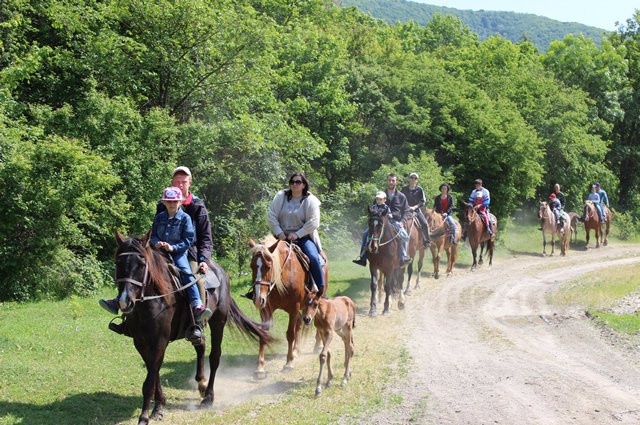 Horse Riding in Sukko Anapa-Sukko必去景点