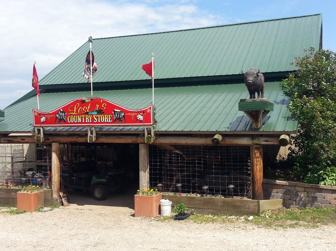 Lester's Bison Farm-Salem必去景点
