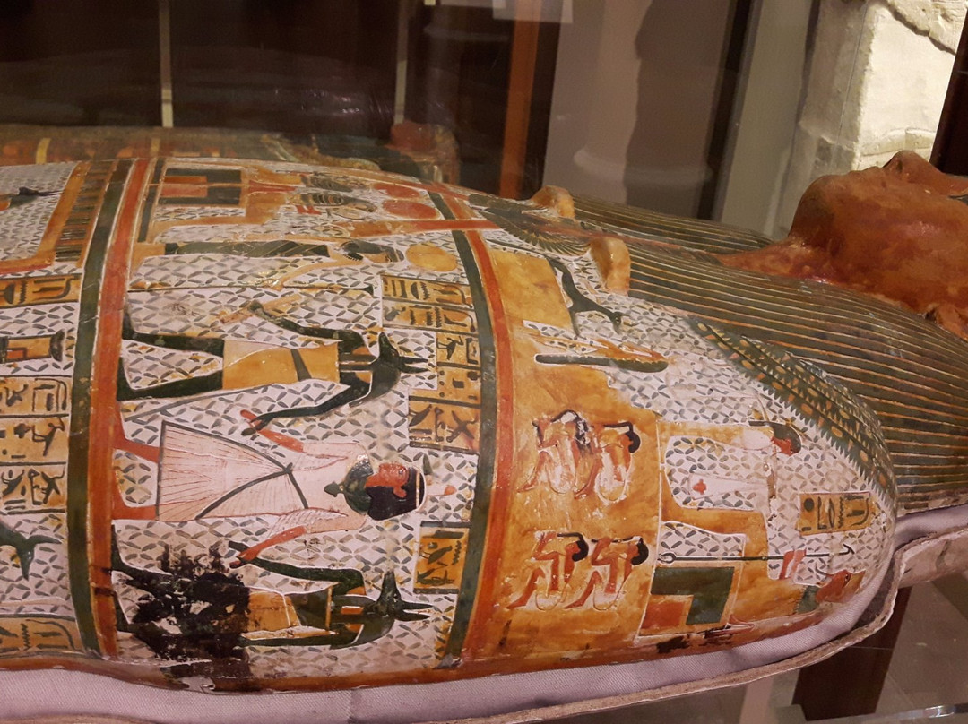 Harvard Museum of the Ancient Near East景点图片