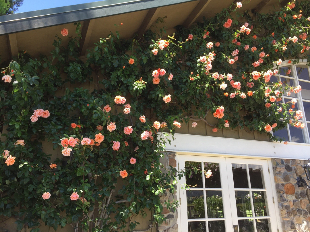 Trentadue Winery-Geyserville必去景点