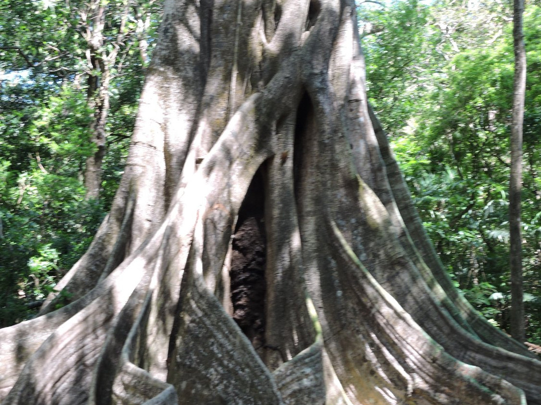 Guanacaste Transfer景点图片