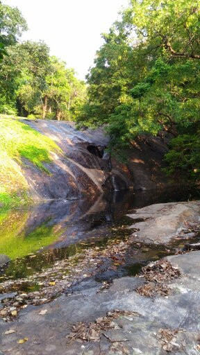 Dhoni Waterfalls-Palakkad必去景点