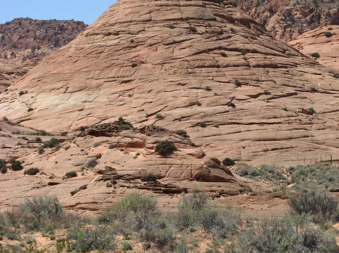 Edmaiers Secret-比格沃特必去景点