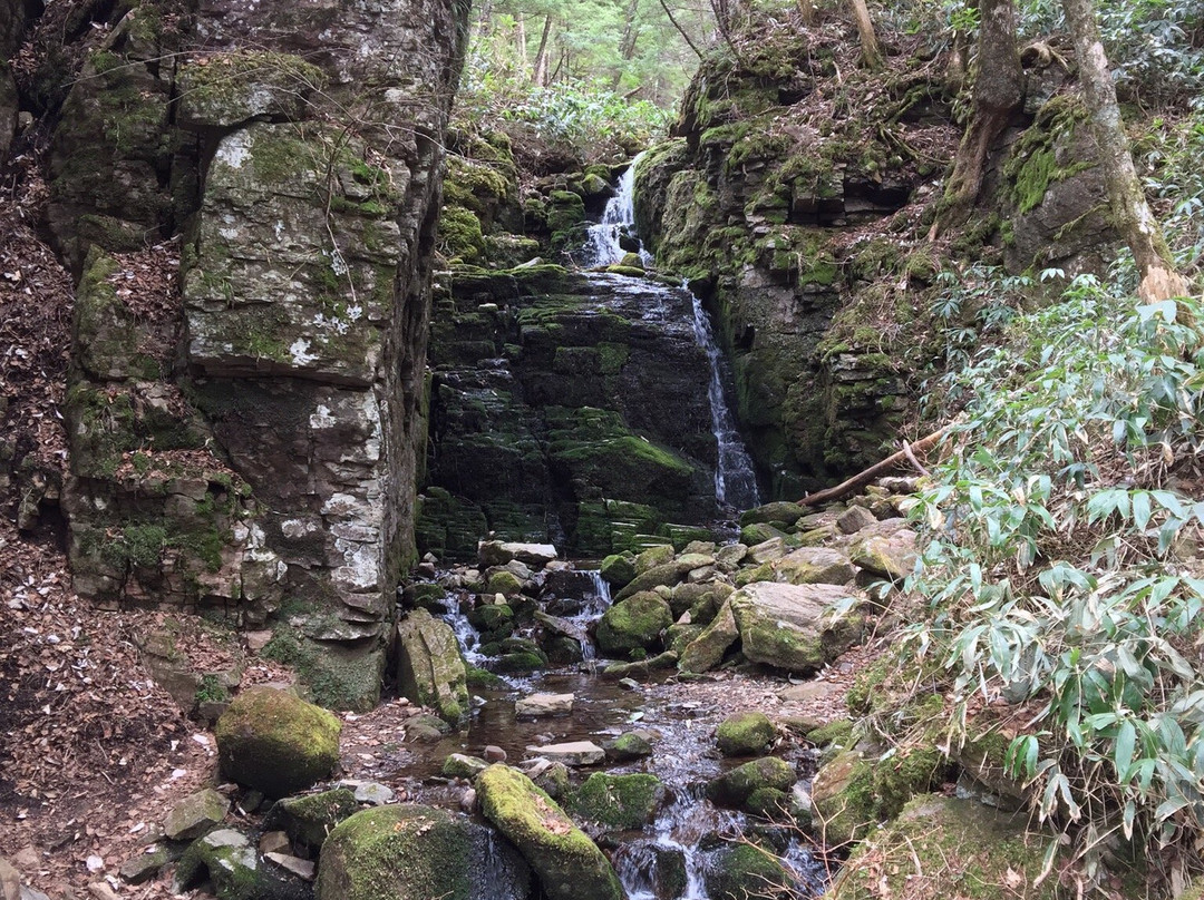 Tateshina Gosensui Nature Park景点图片
