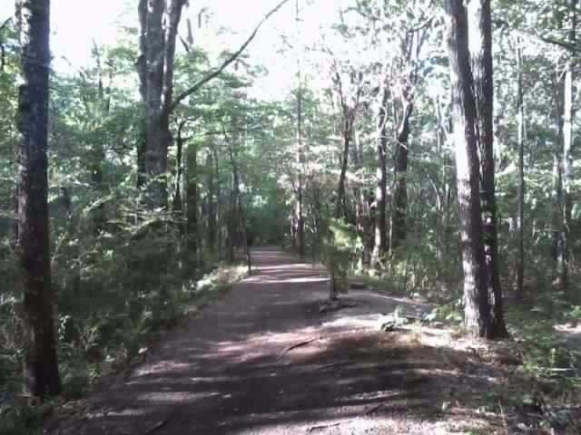 Red Mountain Park-伯明翰必去景点
