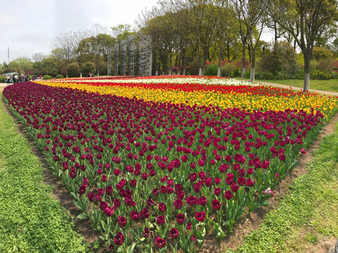 上海鲜花港-上海市必去景点