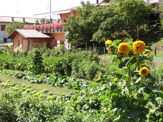Agriturismo Ai Faris