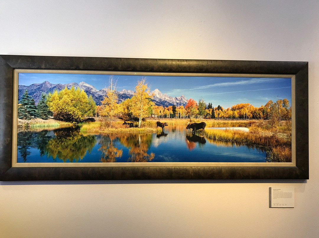 MANGELSEN-Images Of Nature Gallery-杰克逊必去景点