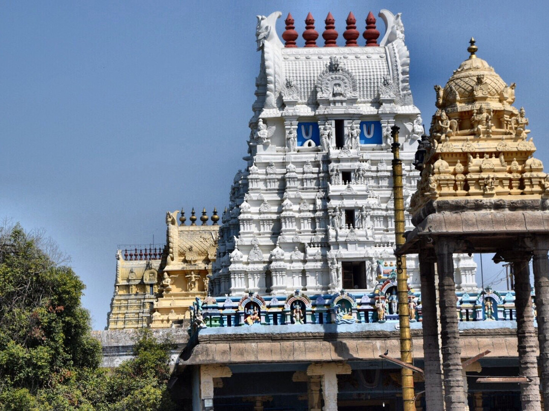 Devarajaswami Temple-甘吉布勒姆必去景点