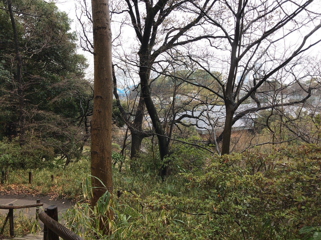 Denenchofu Seseragi Park-大田区必去景点