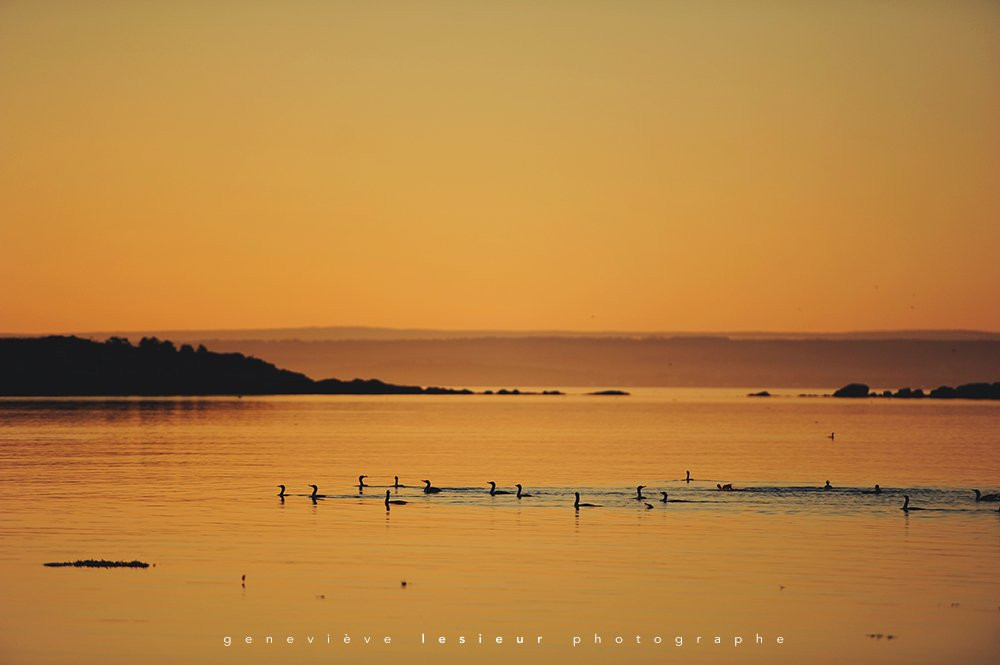 Auberge du Lièvre主图