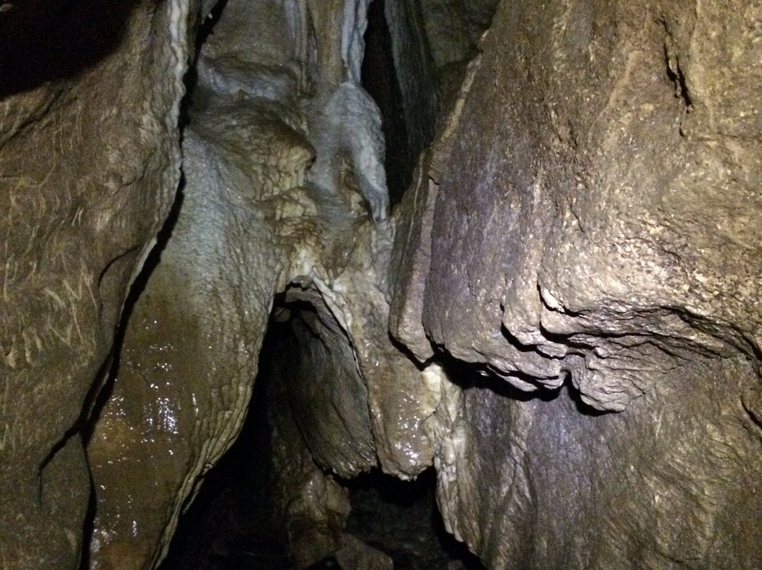 Clifden Caves景点图片