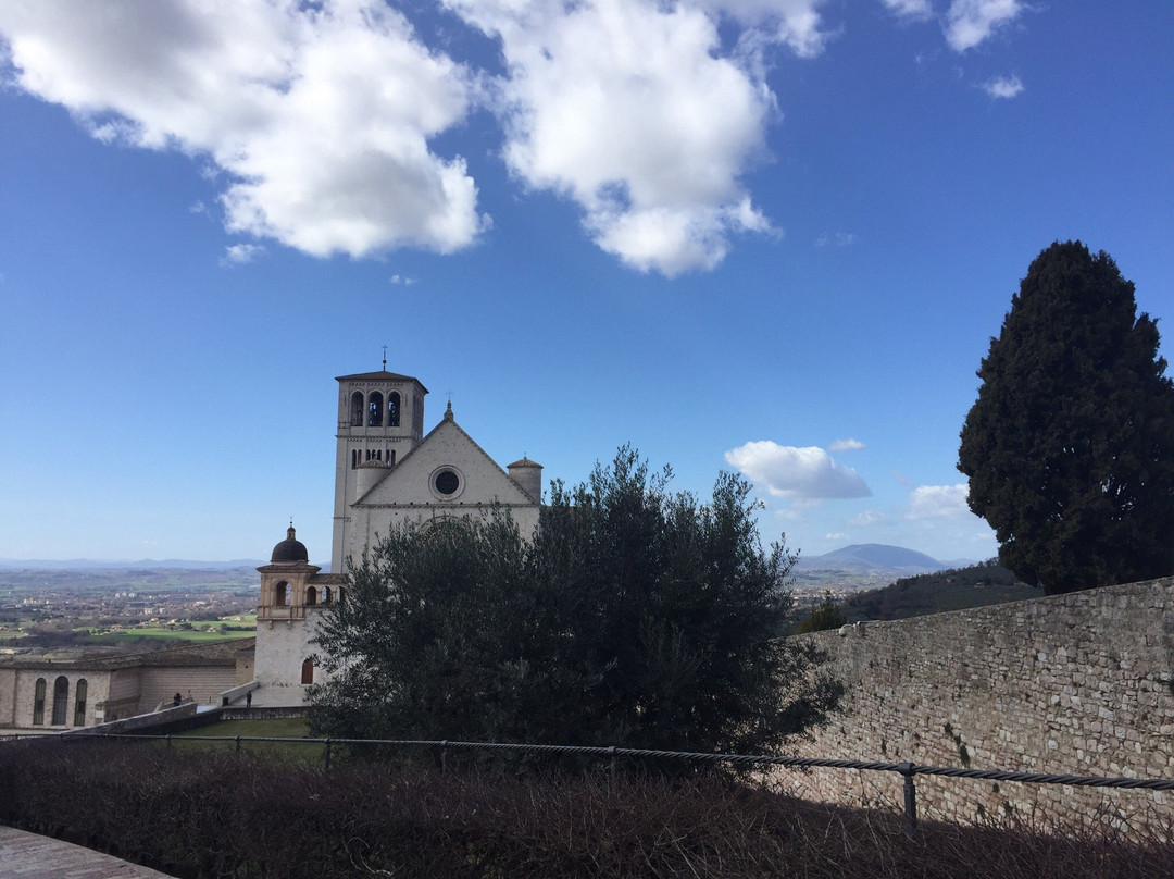 Basilica de Sao Francisco景点图片