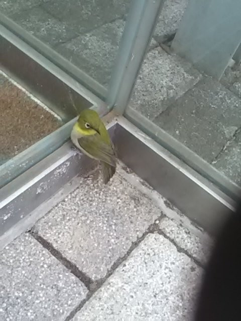 Takezono Park-筑波市必去景点