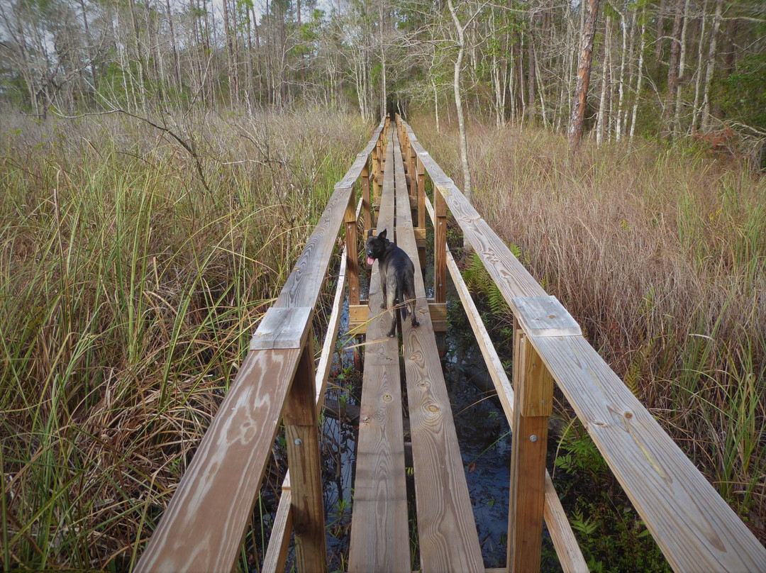 Little Big Econ State Forest-Geneva必去景点