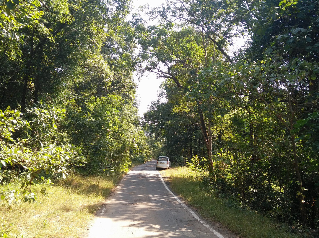 Tansa Wildlife Sanctuary景点图片