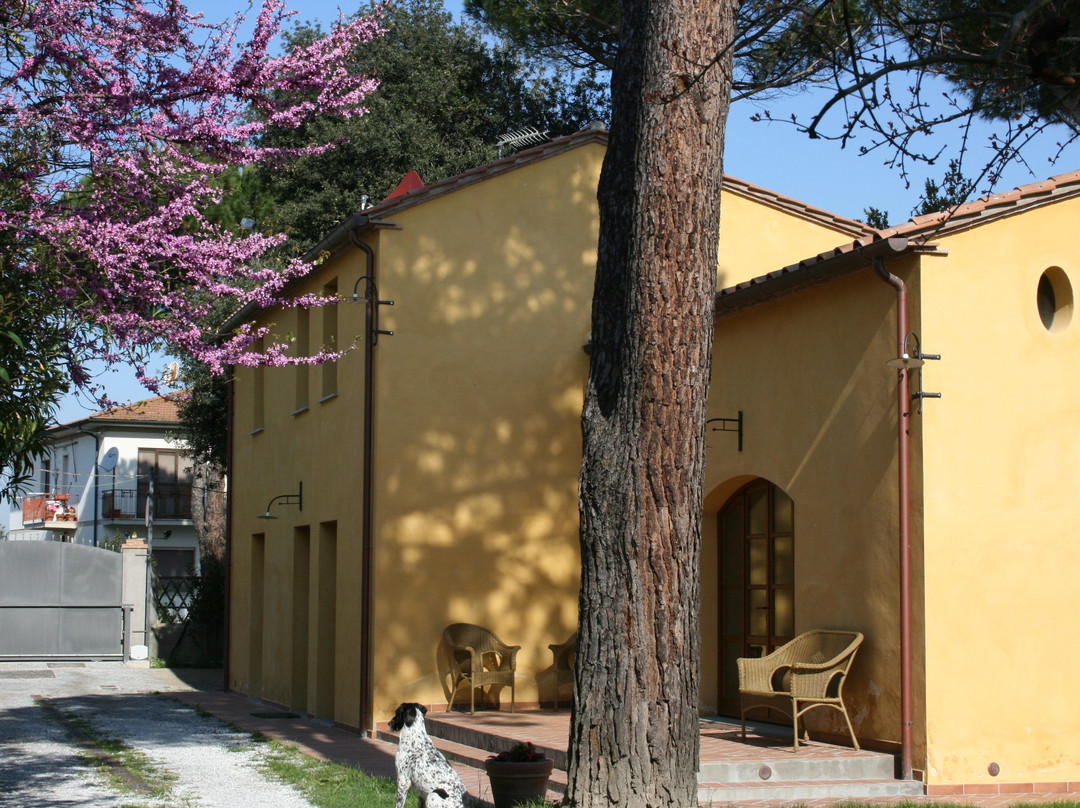 Pisa Holidays Bed & Breakfast主图