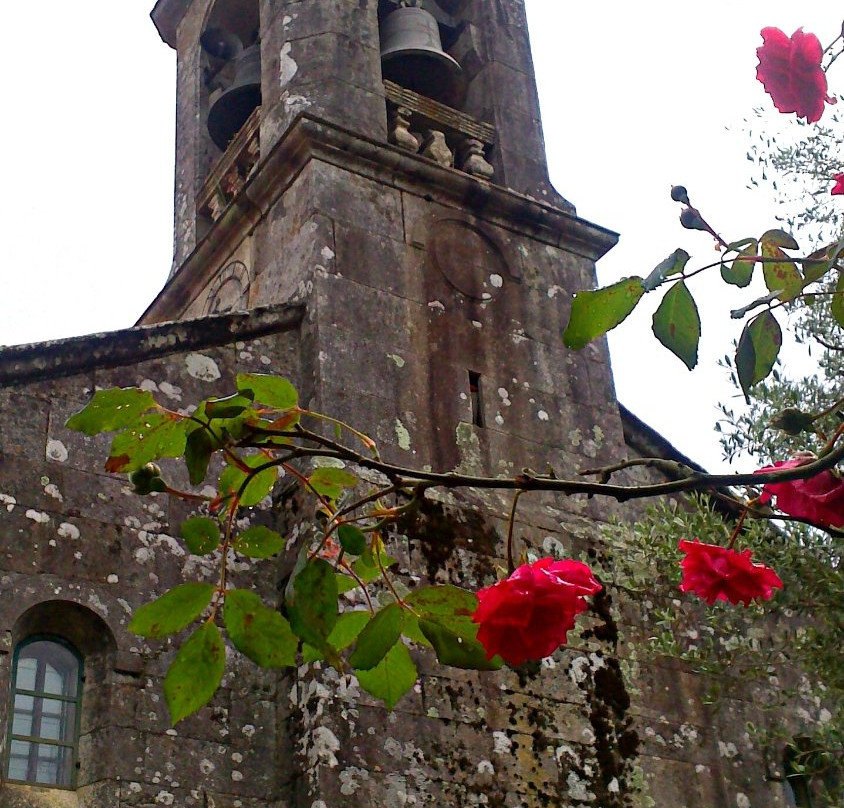 Fundacion Pazo de Mos景点图片