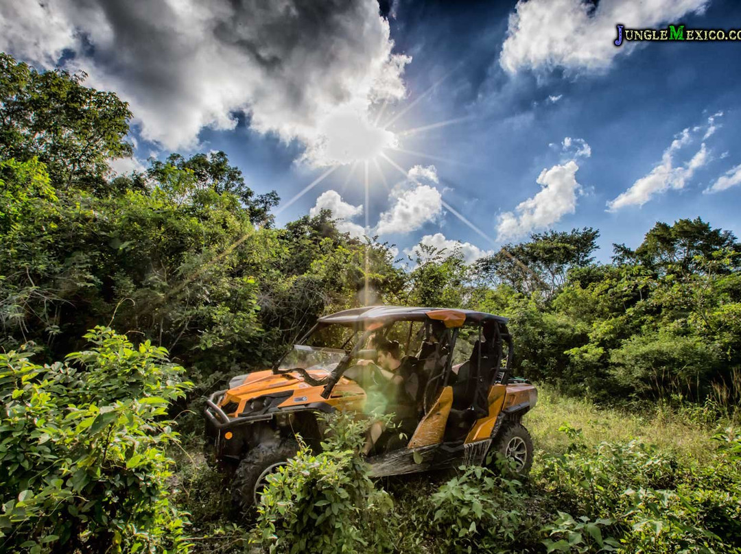 VIP Jungle Tours-阿范特拉斯港必去景点