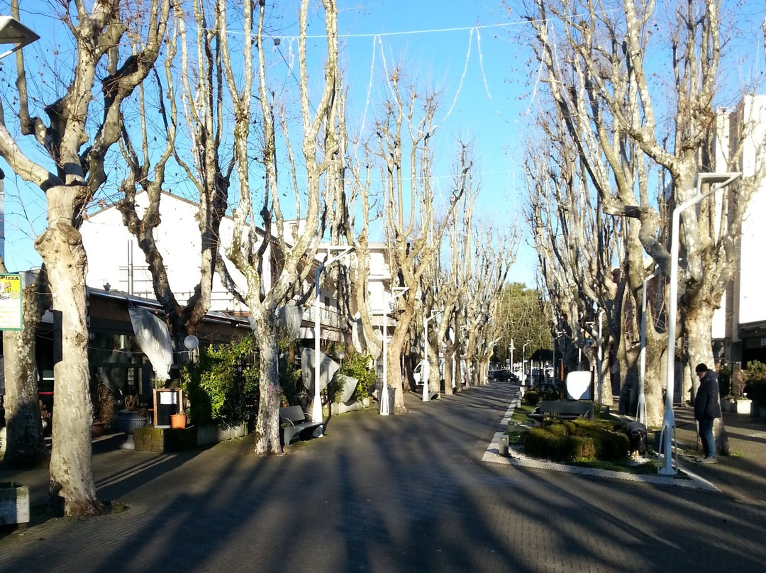 Viale dei Platani景点图片