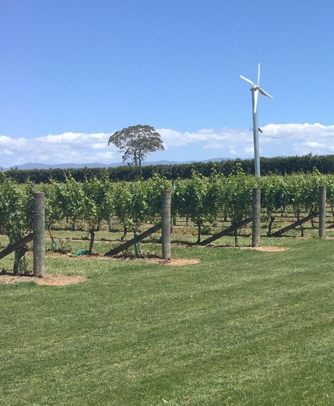 Martinborough Vineyard景点图片