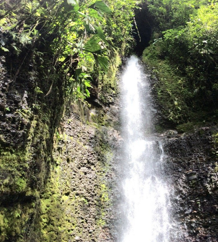 Portal a la Selva-Puyo必去景点