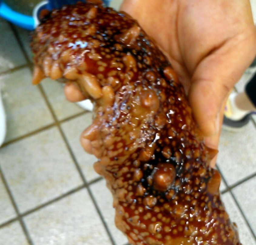 Donghae City Suhyup Seafood Distribution Center-东海市必去景点