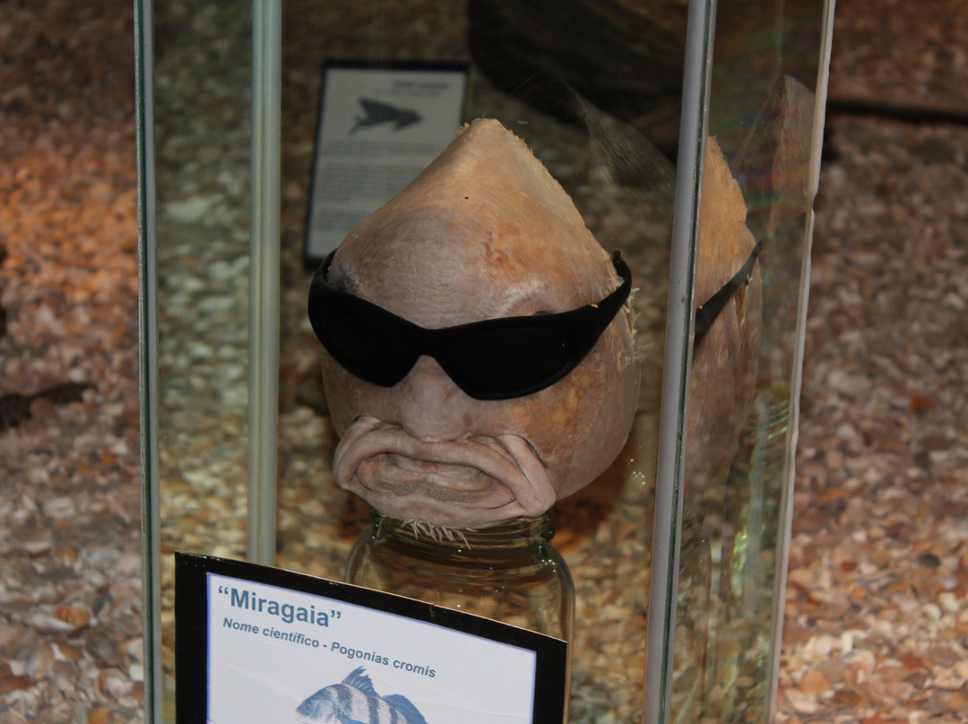 Museu Antartico-Rio Grande必去景点