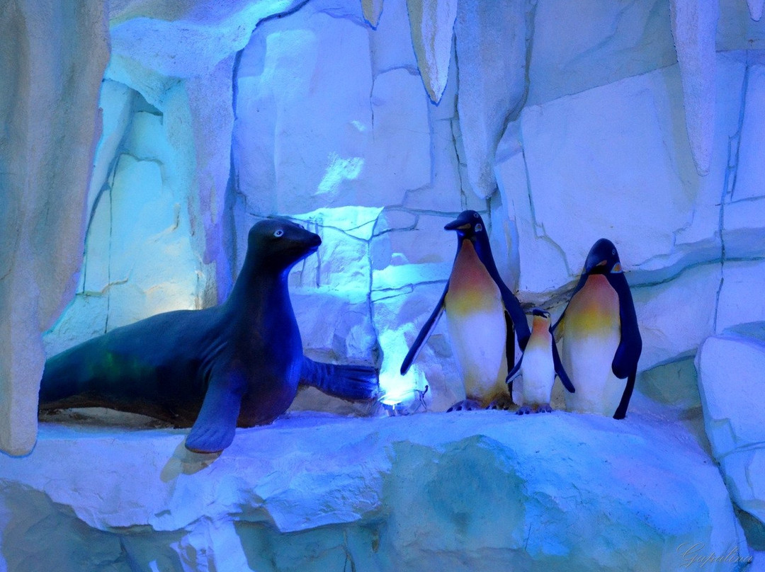 金正海悦天地-石家庄市必去景点