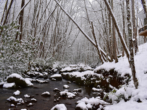猫头鹰的栖息地（需要5英寸间隙）主图