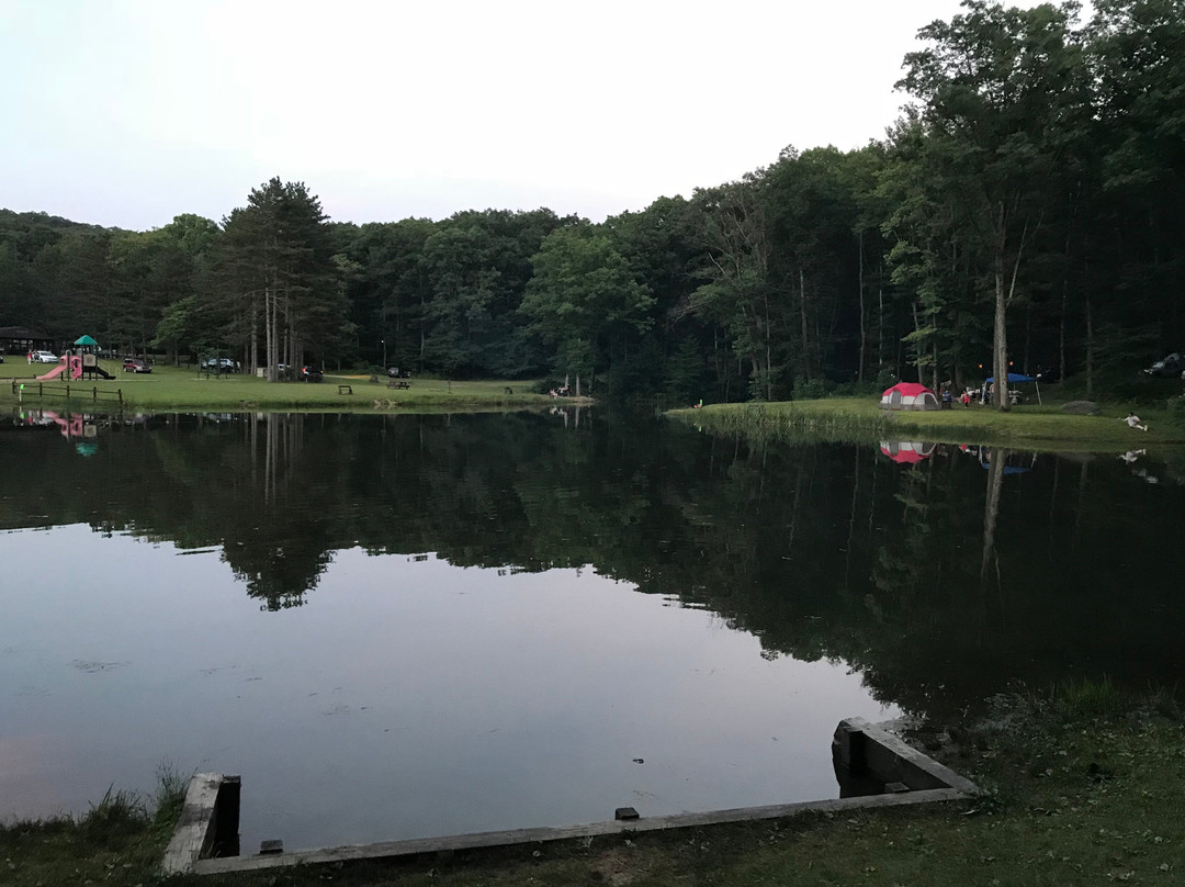 Chestnut Ridge Park and Campground景点图片