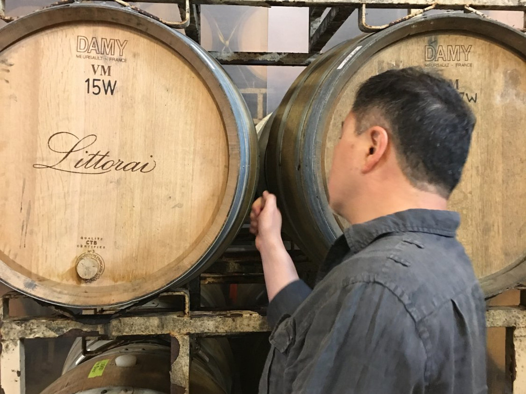 Littorai Winery景点图片