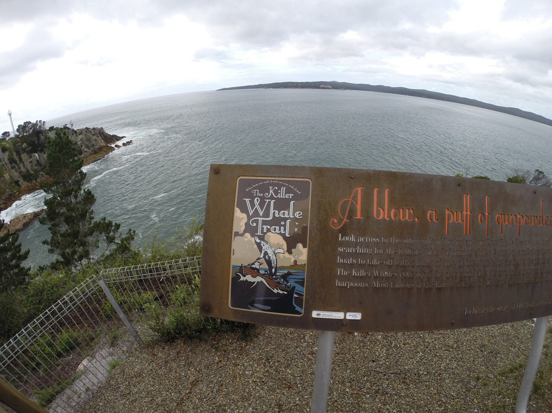 Light to Light Walk-伊登港必去景点