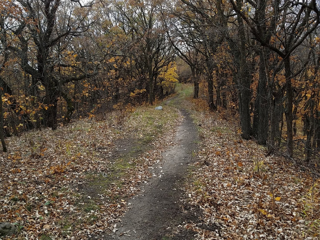 Sica Hollow State Park景点图片