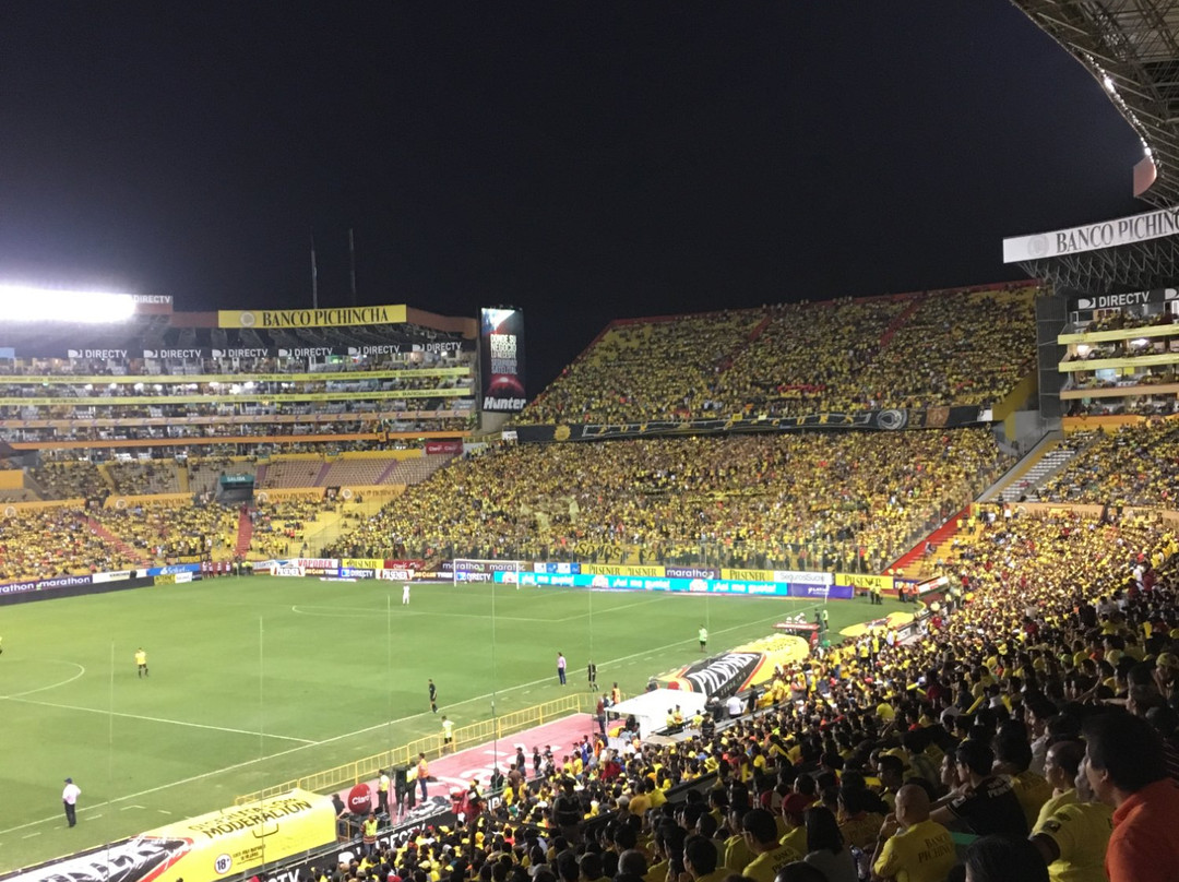 Estadio Monumental-瓜亚基尔必去景点
