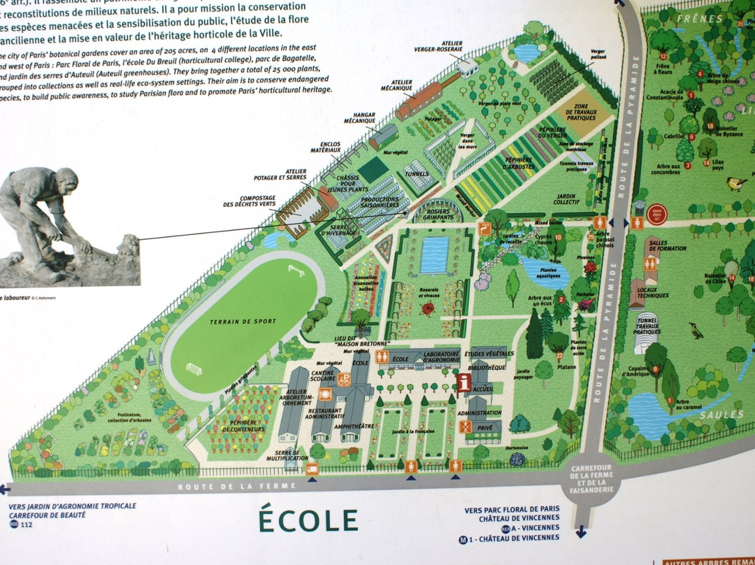 Arboretum Du Bois De Vincennes景点图片