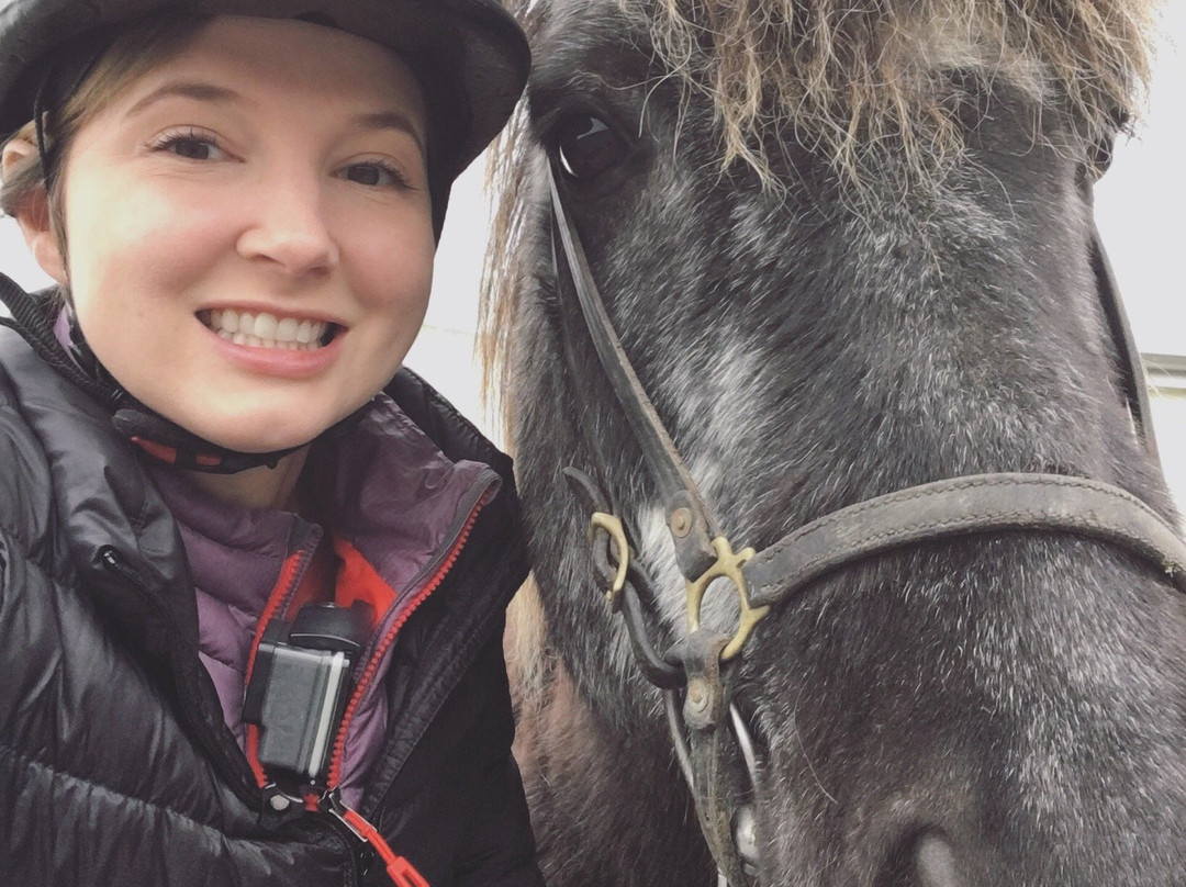 Stori-Bakki Riding Tours-埃伊尔斯塔济必去景点