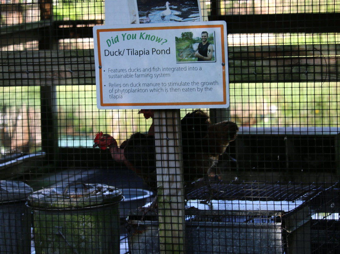 ECHO Global Farm Tours-North Fort Myers必去景点