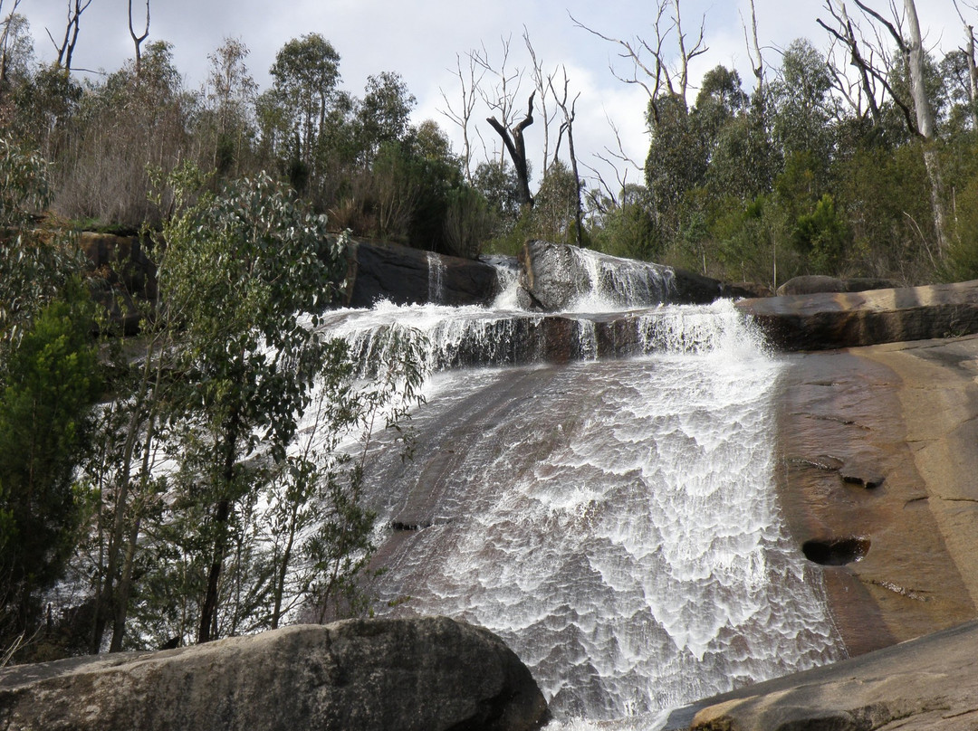 Murrindindi Scenic Reserve景点图片