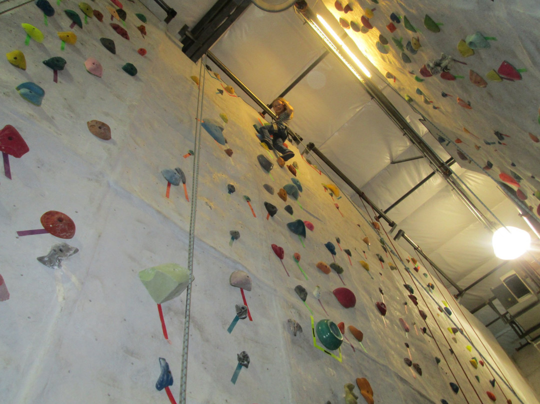 Ape Index-皮奥里亚必去景点