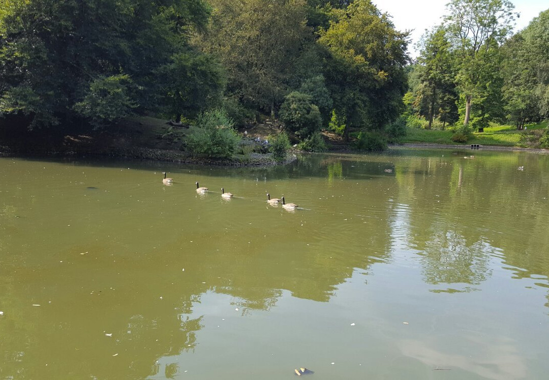 Queens Park景点图片