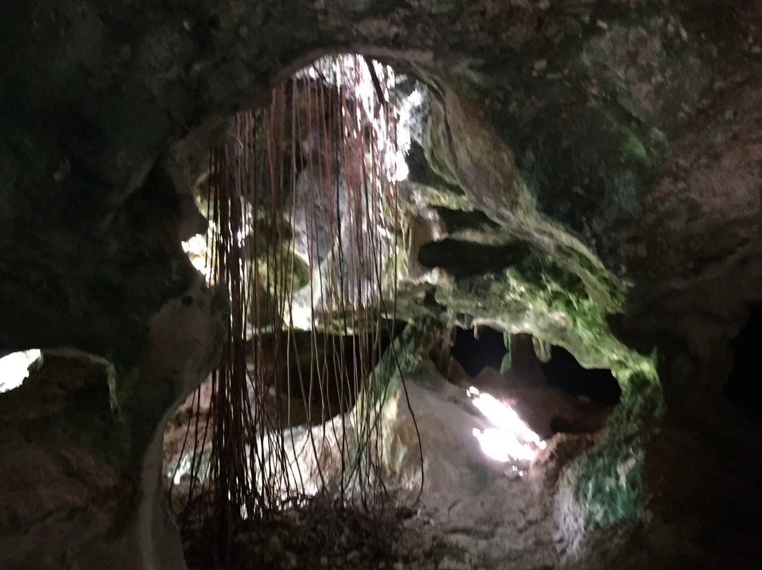 The Bat's Cave-Cayman Brac必去景点