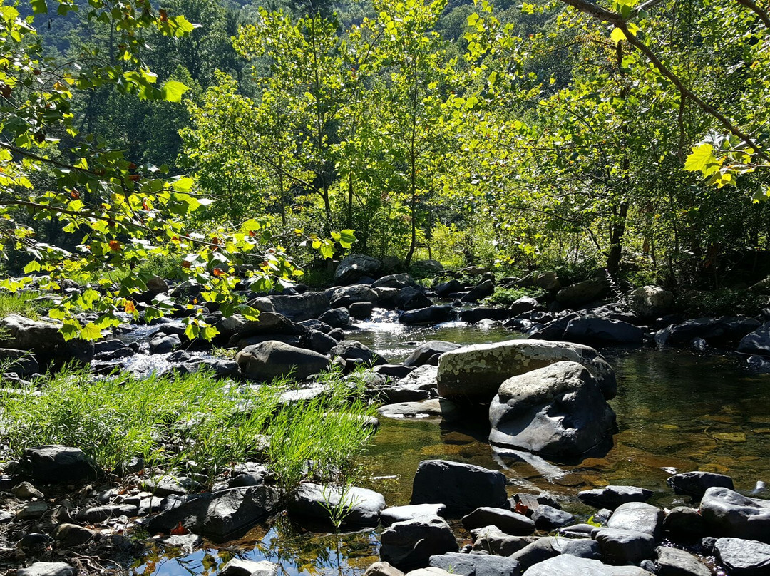 Goshen Pass-Goshen必去景点