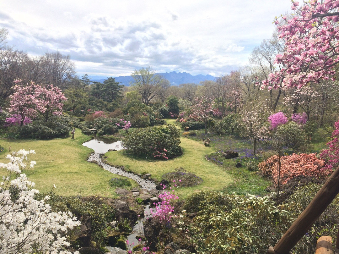 Akagi Nature Park景点图片